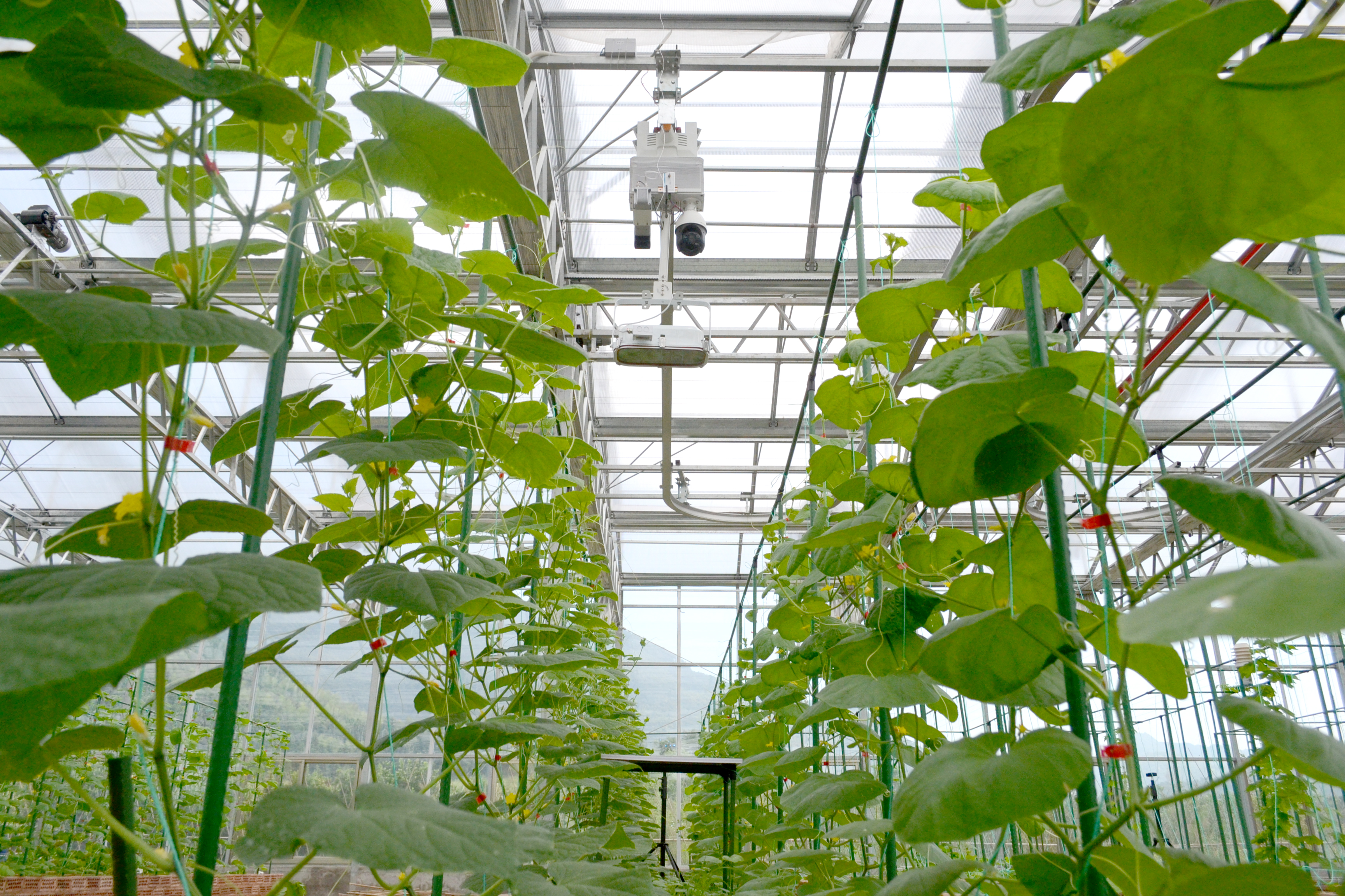 2022年某智慧农业基地