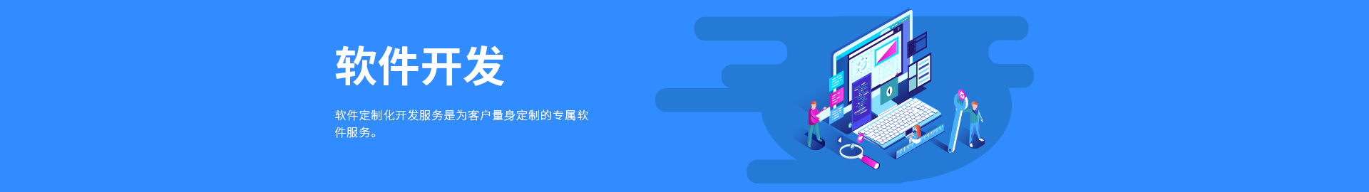 软件开发