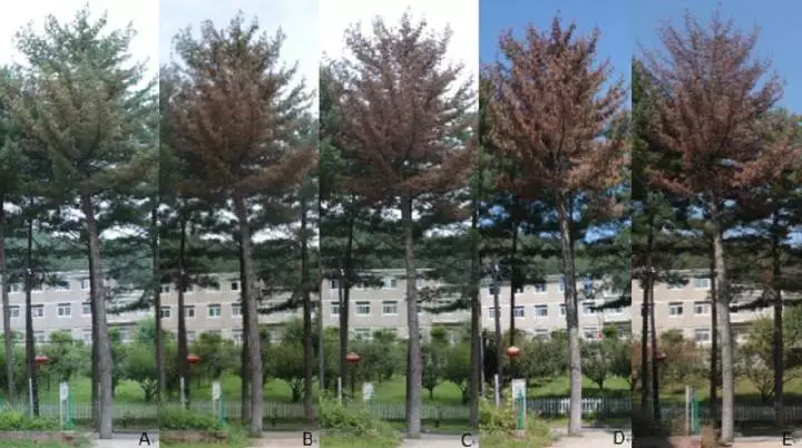 CC国际-CC彩球网(集团)登录平台