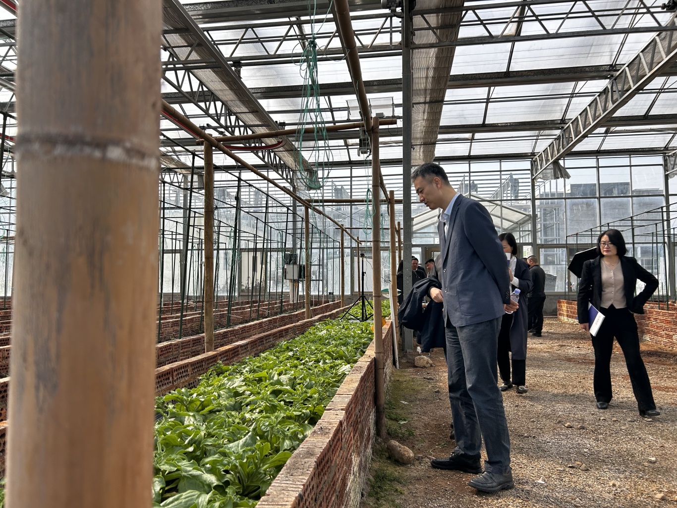 CC国际-CC彩球网(集团)登录平台