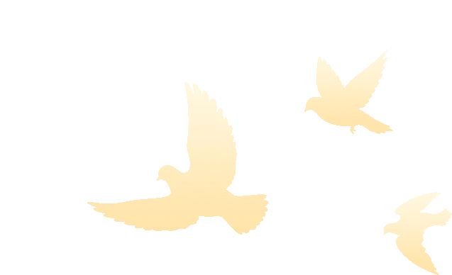 CC国际-CC彩球网(集团)登录平台